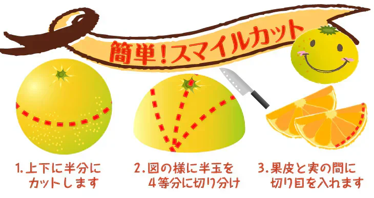 スイートスプリング　熊本産　みかん　10kg　ご家庭用
