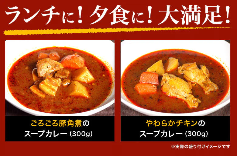 【ご新規さんとシェア買い】札幌極みスープカレー（2食セット）