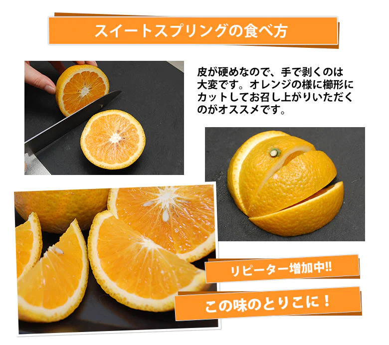 【12月中旬～下旬頃より順次出荷】スイートスプリング 10kg みかん 送料無料 訳あり 熊本県産 爽やかな甘さと香り 蜜柑 温州みかん 八朔 フルーツ