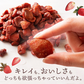 完売 ドライフルーツ ドライストロベリー 500g 肉厚 ドライ いちご ストロベリー  [ 送料無料  トルコ産  大容量 お徳用 業務用 お取り寄せ  ドライフルーツ フルーツ 製菓 おやつ お菓子作り ]