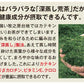 【2個セット】日本橋いなば園 静岡深蒸し茶 荒茶づくり 100g ネコポス メール便送料無料