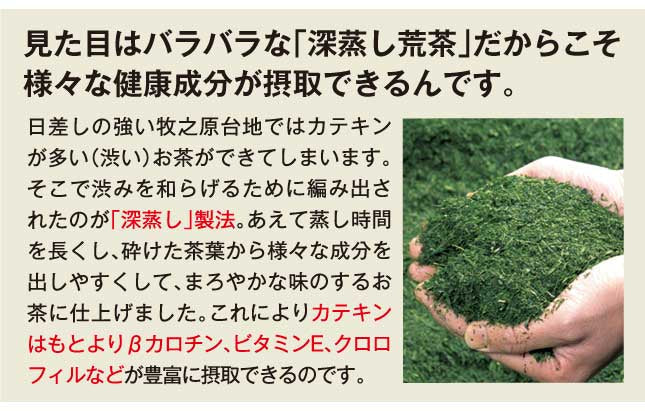 【2個セット】日本橋いなば園 静岡深蒸し茶 荒茶づくり 100g ネコポス メール便送料無料