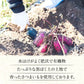 干し芋 1kg ギフトプレゼント 干しいも ほし芋 国産 訳あり 無添加 茨城県産 紅はるか べにはるか 切り落とし 芋 スイーツ お菓子 和菓子 スイーツ さつまいも 和スイーツ お取り寄せスイーツ ほしいも わけあり N