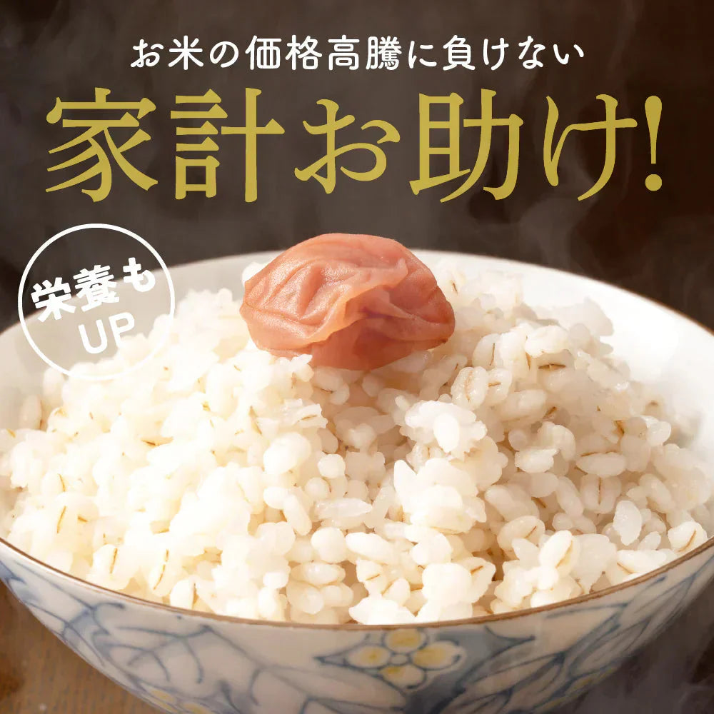 雑穀 雑穀米 国産 家計お助け米 押麦ミックス 300g