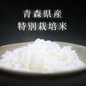 【胚芽米】無農薬＆化学肥料不使用　特別栽培米 お米 つがるロマン ５kg