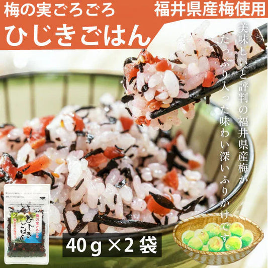 カワモト 梅の実ごろごろひじきごはん 40g×2袋 メール便　送料込