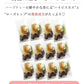 【12個セット】6種類のフルーツハーブティー 食べられるフルーツティー