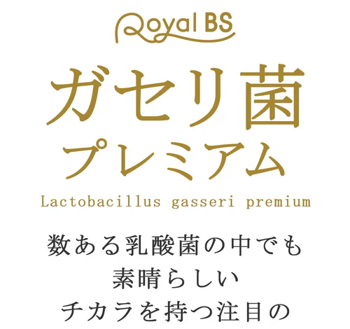【ガセリ菌プレミアム まとめ買い 2個セット 合計360粒】 乳酸菌サプリメント 善玉菌 乳酸菌 腸活 菌活 大容量 健康 RoyalBS 日本製 ガセリ菌ヨーグルトよりもお手軽