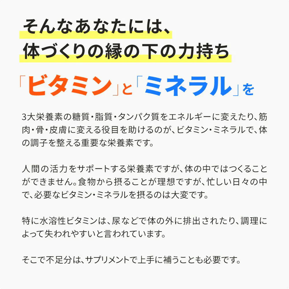マルチビタミン＆マルチミネラル≪約1ヶ月分≫ 送料無料 サプリ サプリメント 健康 美容 ビタミンA ビタミンB ビタミンC ビタミンD ビタミンE 葉酸 ナイアシン  ミネラル  カロテン 鉄 亜鉛 カルシウム マグネシウム