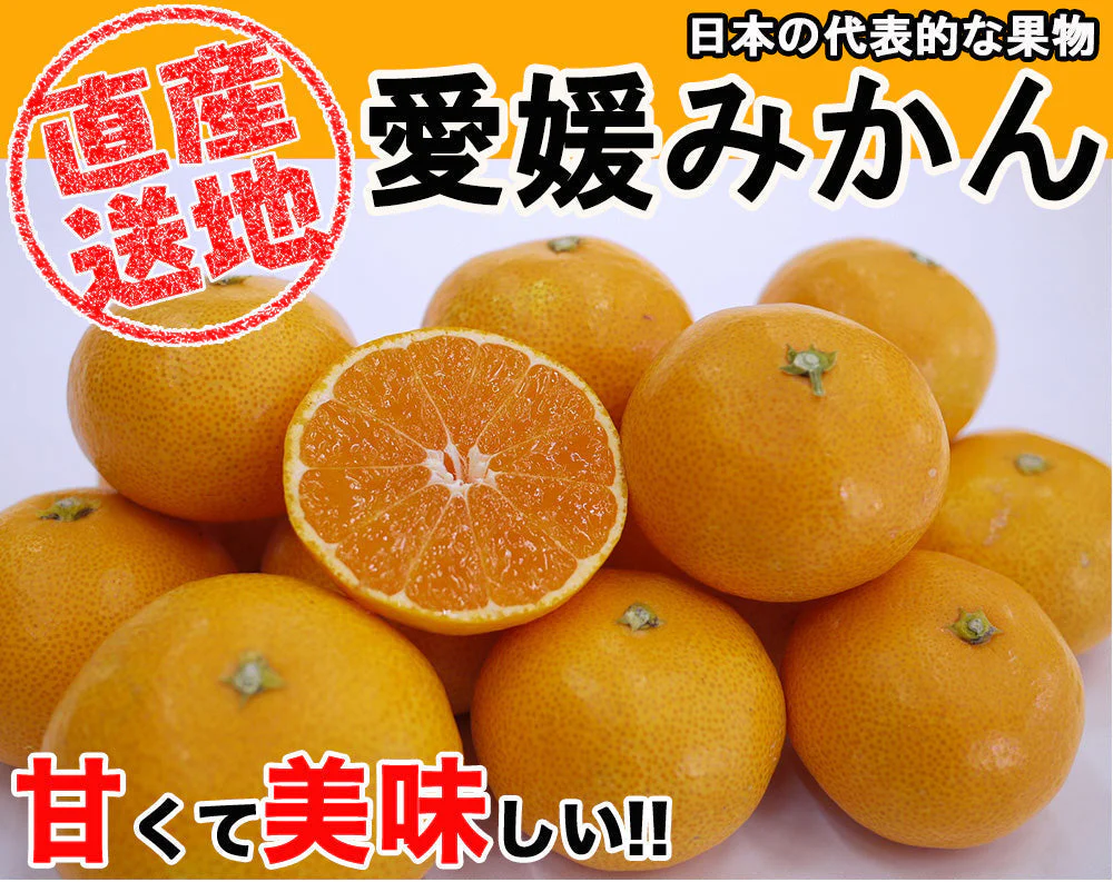 【最安値挑戦祭】みかん 5kg 送料無料 愛媛 みかん 温州みかん ミカン 蜜柑 安い 甘い 箱買い 産地直送 愛媛県産 YDF-00