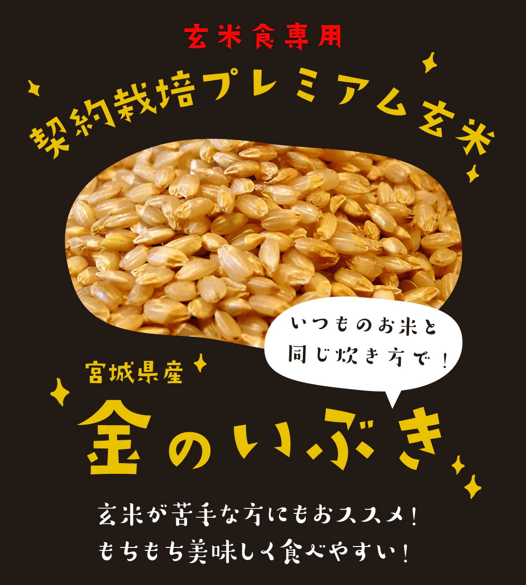 玄米 宮城県産 金のいぶき 2kg 令和5年度産 お米 おくさま印 国産 食品 栄養 健康 チャック付き ギフト 引っ越し 挨拶 出産 内祝い 母の日 父の日 お中元 お歳暮 結婚 快気 還暦 香典返し お年賀 送料無料