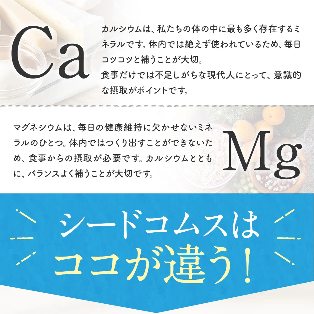 カルシウム＆マグネシウム《約3ヶ月分》ビタミンD サプリ サプリメント 健康 子供 ドロマイト ビタミン