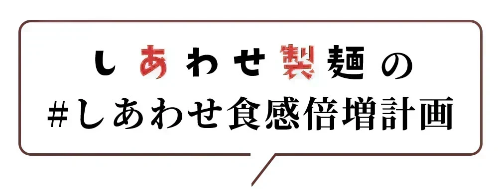 うどん 讃岐うどん 熟成うどん 約６人前 600g (300gx2袋) つゆ付き 送料無料 本場讃岐 純生熟成うどん 太麺 うどん お取り寄せ jukusei6-tuyu