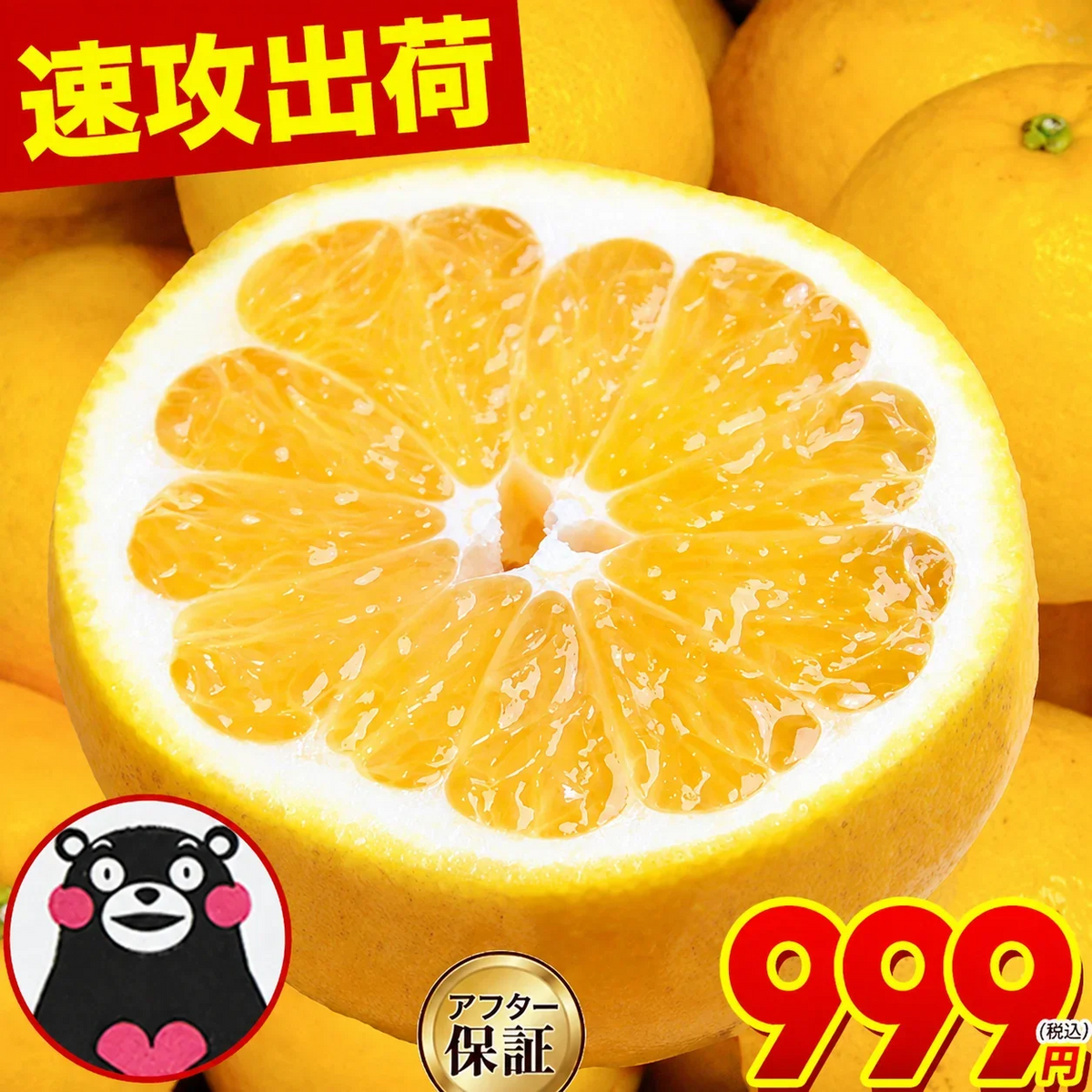 河内晩柑 送料無料 1.5kg 和製 グレープフルーツ 旬 の フルーツ 果物 みかん 訳あり 夏文旦 晩柑 宇和ゴールド ジューシーみかん 熊本県産 《1-5営業日以内に発送予定(土日祝日除く)》