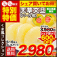 【熊本コレクション】天草文旦 パール柑 ギフト 約3kg前後 送料無料 4L-3L / 5-6玉入 贈答用 御年賀 寒中見舞い 果物 フルーツ 12月上旬-12月末頃より発送予定