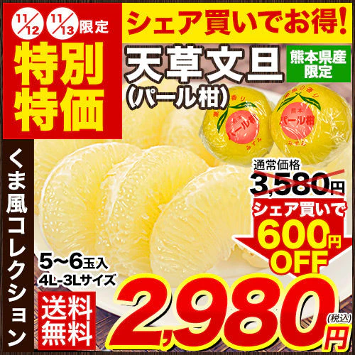 【熊本コレクション】天草文旦 パール柑 ギフト 約3kg前後 送料無料 4L-3L / 5-6玉入 贈答用 御年賀 寒中見舞い 果物 フルーツ 12月上旬-12月末頃より発送予定