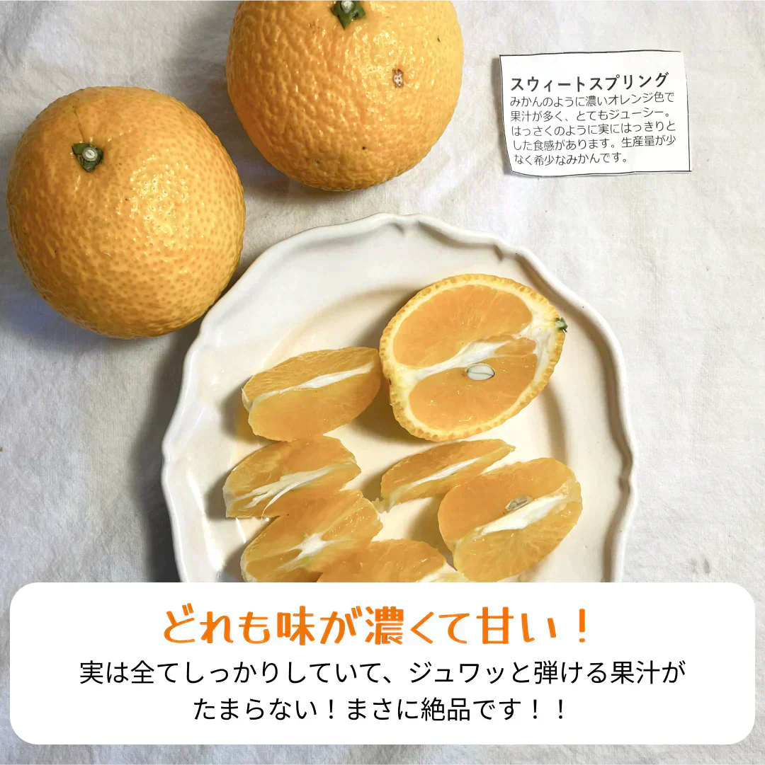 【発送は１月末からスタート】3種以上！愛媛のみかん食べ比べセット！5kg高級みかんが入るかも！?【福袋】