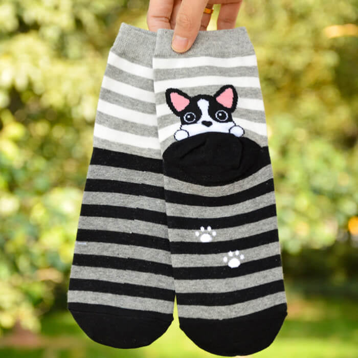 【予約商品・発送時期は商品説明に記載】犬 靴下 6足セット 犬柄 イヌソックス かわいい ボーダー ショートソックス いぬ 靴下 くつ下 ソックス カジュアル 人気 アーガイル 肉球 ランキング 春 夏 秋 冬 女性 レディース 子供 送料無料 ギフト プレゼント
