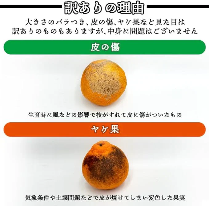 [みさわのやさい] デコポン 訳あり 5kg 国産 和歌山産 でこぽん 不知火 しらぬい 柑橘 甘い  箱 みかん