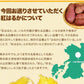 さつまいも 紅はるか べにはるか 1.5kg 送料無料 芋 熊本県産 スイーツ お取り寄せ 11月上旬-12月上旬頃より発送予定