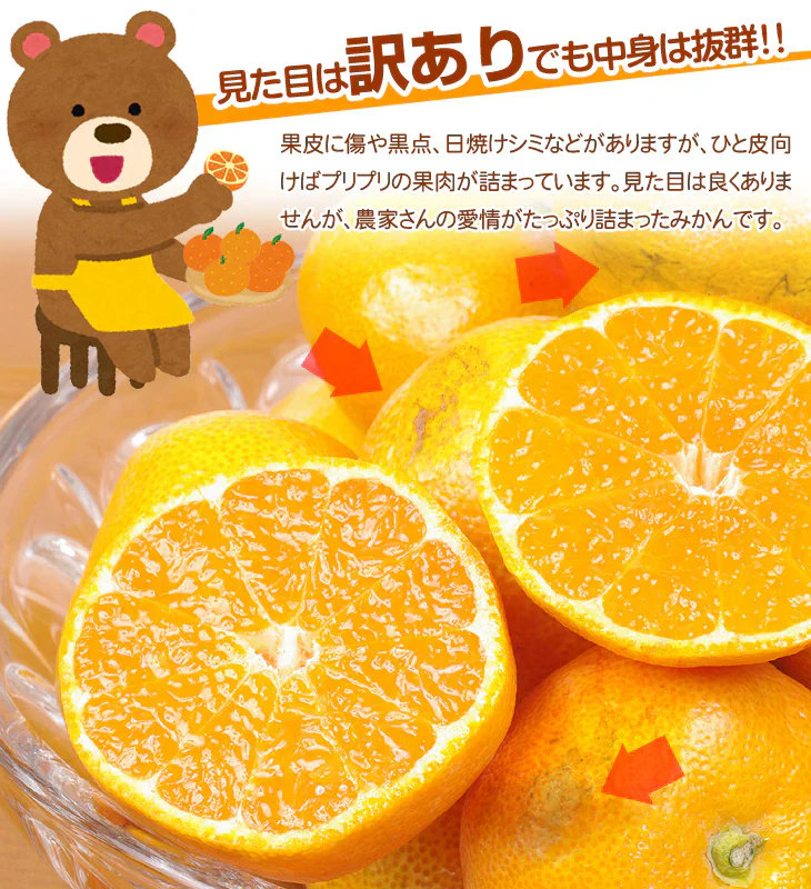 みかん　熊本産　おいしいみかん　1.5kg　サイズおまかせ　ご家庭用（発送予定：11月中旬より）