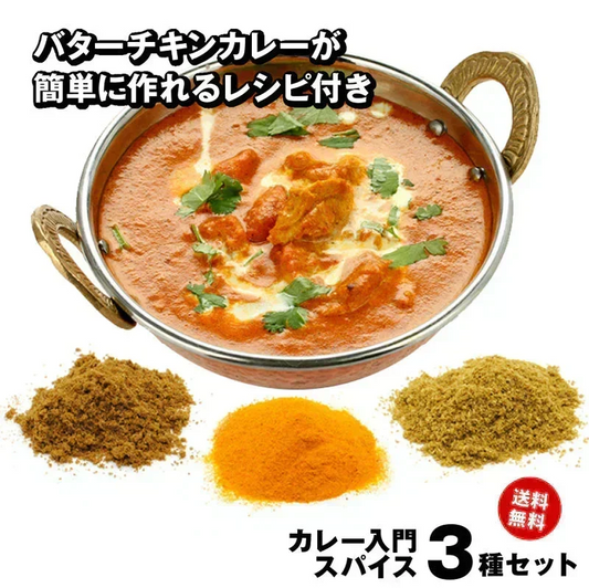 【 レシピ付】カレー 入門 スパイス 3種 セット 100g  大容量 チャック袋入 スパイス スパイスカレー おうちカレー 手作りカレー 送料込み お得 人気 お試し お試しセット