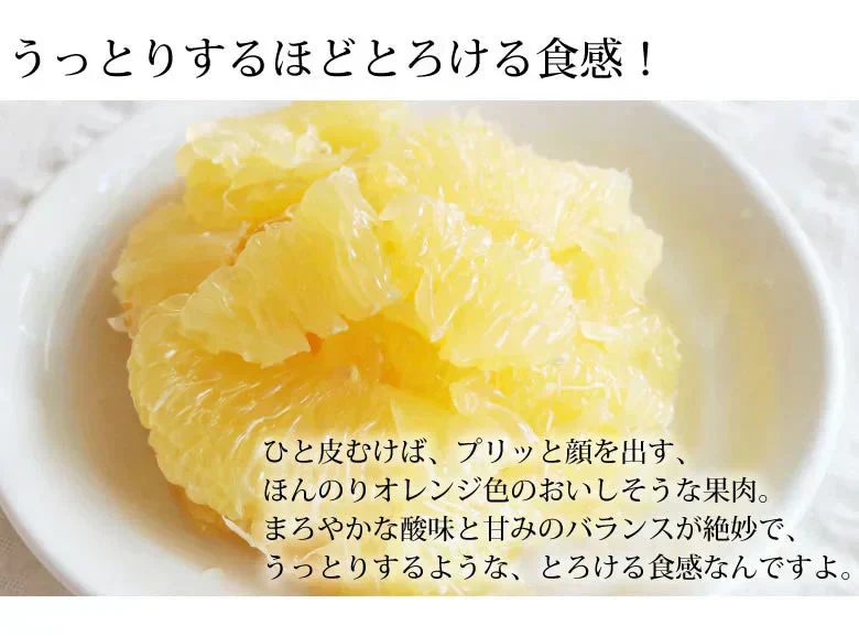 河内晩柑 文旦 みかん 訳あり 和製グレープフルーツ 1.5kg S～3L 晩柑 熊本県産 美生柑 グレープフルーツ