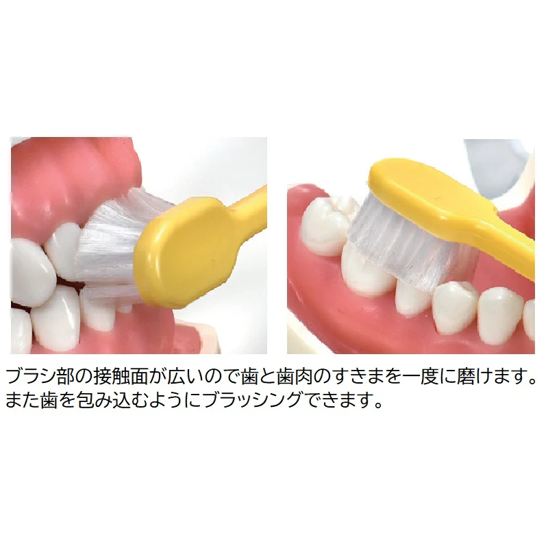 歯ブラシ 大きめヘッド Ci 800 超先細+ラウンド毛  Ｓやわらかめ  ブリスターパック 12本入り