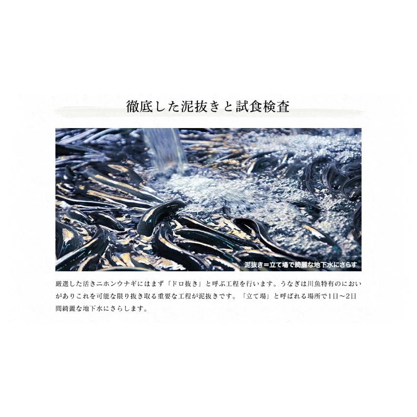 自宅用うなぎ蒲焼き1尾（台湾産）タレ・山椒付セット ますよね監修
