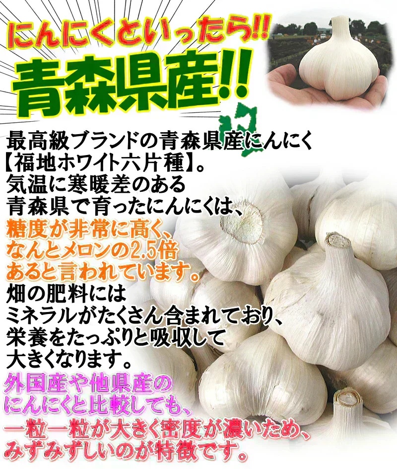 令和7年度産 青森県産にんにく 1㎏ 訳あり 並級C品 Mサイズ以上大玉混合 福地ホワイト六片種