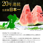 すいか 熊本県産 送料無料 訳あり スイカ 熊本すいか 1玉 S〜Mサイズ 4kg以上 果物 フルーツ 旬 食品 7-14営業日以内に出荷予定(土日祝日除く)