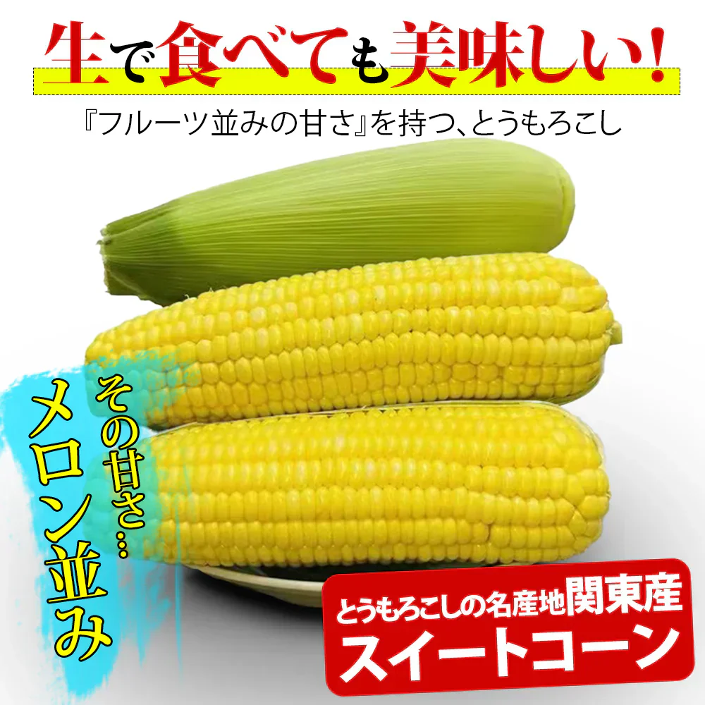 とうもろこし スイートコーン ゴールドラッシュA品 贈答 今年の新物 サニーショコラ 生トウモロコシ ６本入り (2L或はL サイズ) お中元 食べ物 食品 内祝 御中元 2025 惠味ゴールド 味来 恵味 すごあまこーん 茨城 群馬 千葉 北海道 中元 フルーツコーン