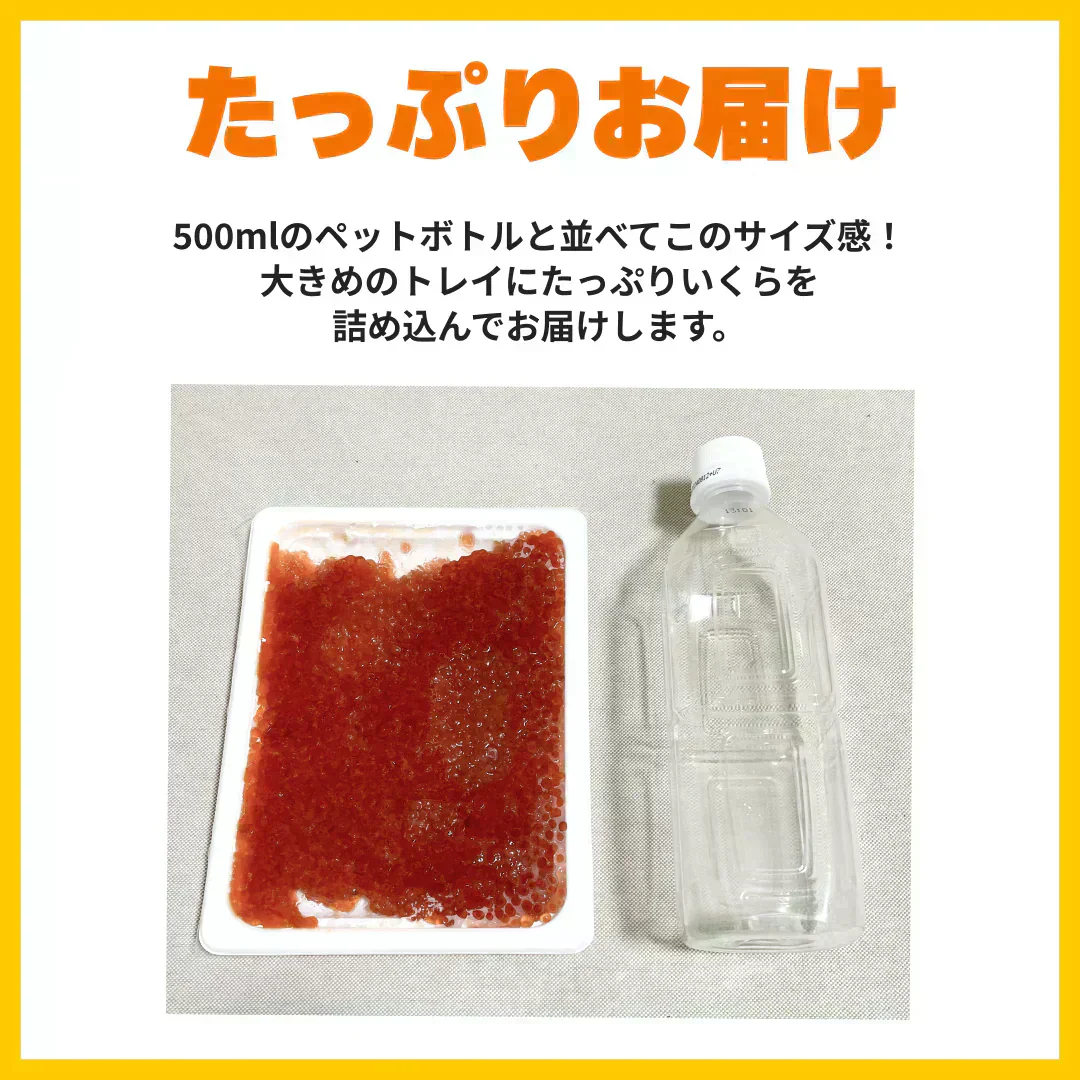 【10人に1人 2倍に増量】いくら醤油漬け【紅鮭】　500g（250g×2パック）