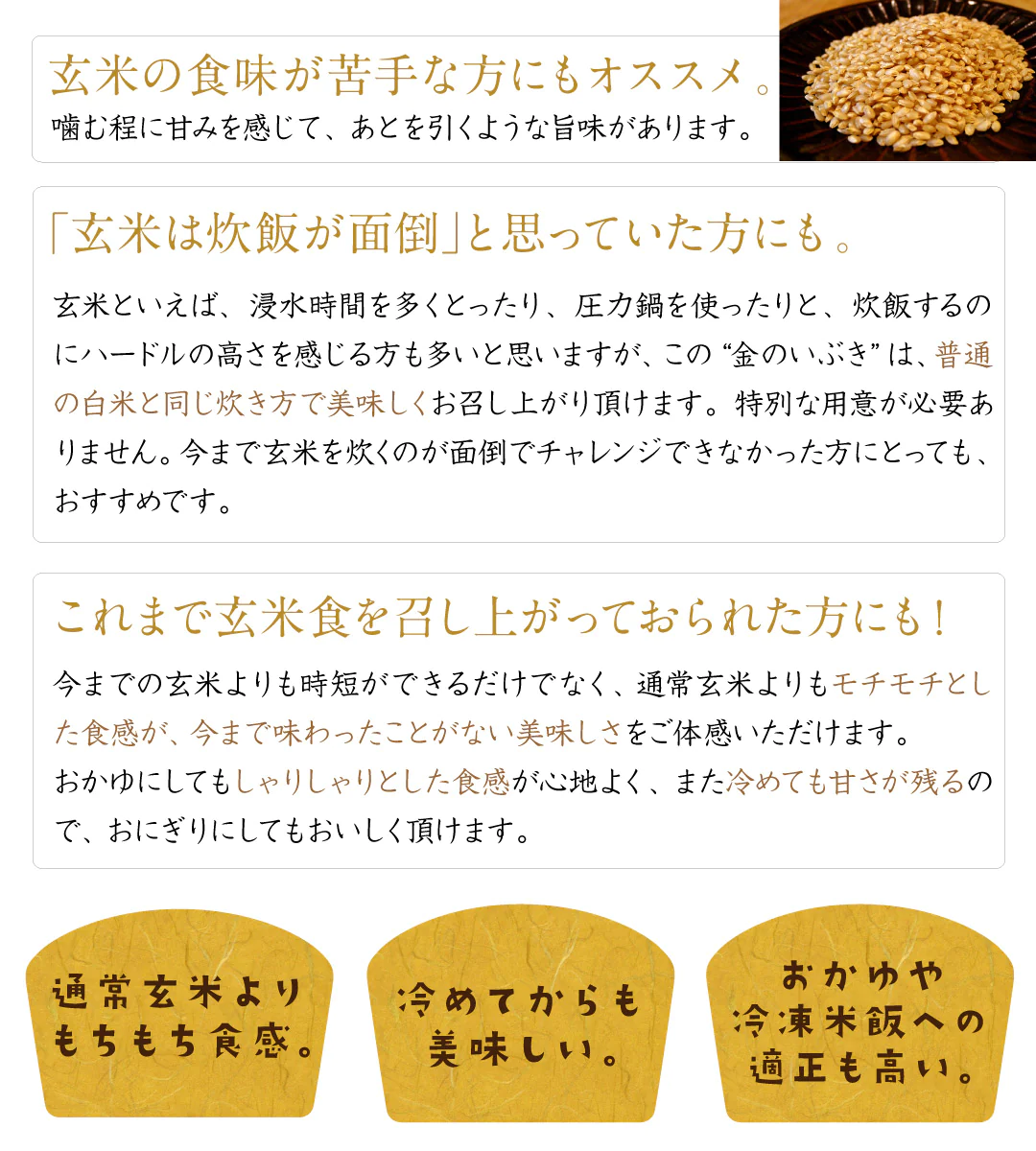 玄米 宮城県産 金のいぶき 10kg (5kg×2) 令和5年度産 お米 おくさま印 国産 食品 栄養 健康 ギフト 引っ越し 挨拶 出産 内祝い 母の日 父の日 お中元 お歳暮 結婚 快気 還暦 香典返し お年賀 送料無料