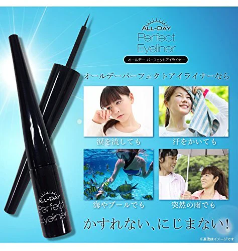 メール便 2個セット 送料無料 汗や涙に強い落ちにくいアイライナー オールデー パーフェクトアイライナー 送料無料 超極細リキッドタイプ ウォータープルーフ パンダ目 アイライナー 落ちない にじまない リキッド ブラック 目元 漆黒 二重 目力 パッチリ
