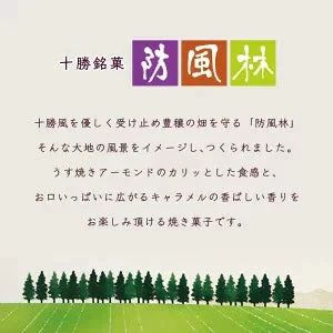 ●中止【北海道限定】柳月