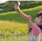 米 くまさんの輝き 【無洗米300g】 白米 送料無料  お試し 令和7年産 熊本県産 お米 白米 玄米 コシヒカリ ヒノヒカリ 森のくまさん