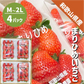 和歌山県産 まりひめ いちご M〜2L ４パック（250g×4パック）和歌山 紀の川市 ブランド 苺 イチゴ 送料無料 贈答 産地