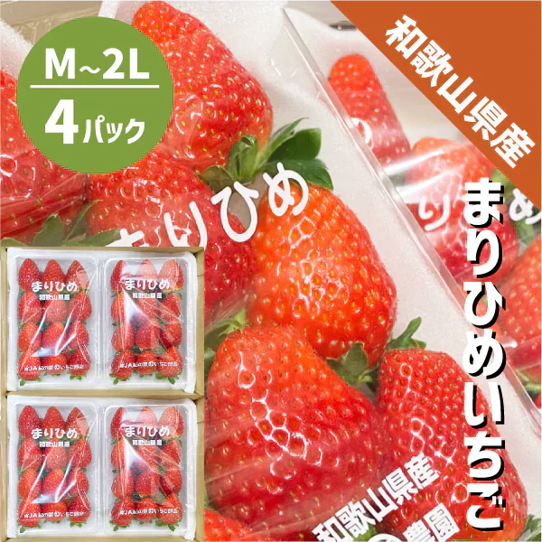 和歌山県産 まりひめ いちご M〜2L ４パック（250g×4パック）和歌山 紀の川市 ブランド 苺 イチゴ 送料無料 贈答 産地