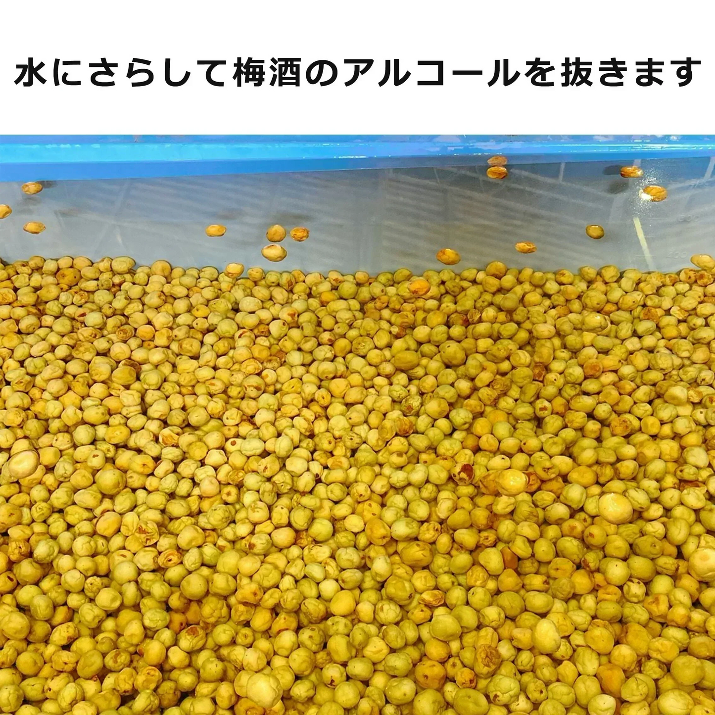 【全国一律送料無料】800ｇつぶれ梅（はちみつ入）400ｇ×2袋セット【エコ得】