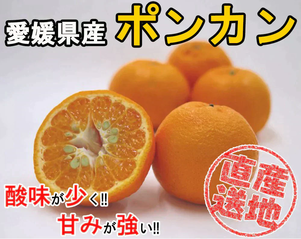 ポンカン 愛媛 箱買い 5kg 送料無料 ご家庭用 サイズミックス みかん 蜜柑 産地直送 愛媛県産 YDF-002