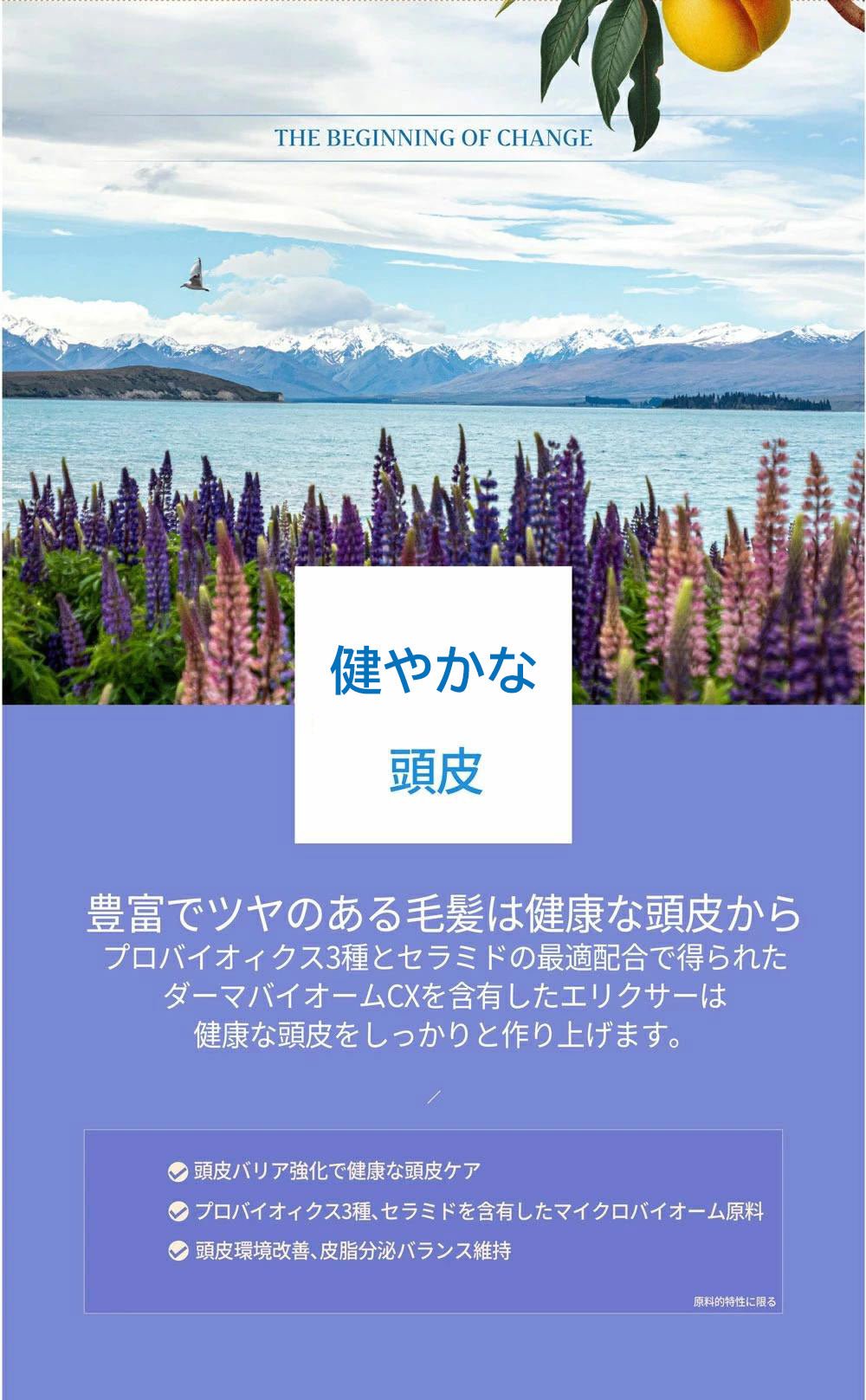 MOJELIM モジェリム エリクサーシャンプー300ml 正規品 販売店 頭皮ケア ダメージケア 韓国コスメ (送料無料)