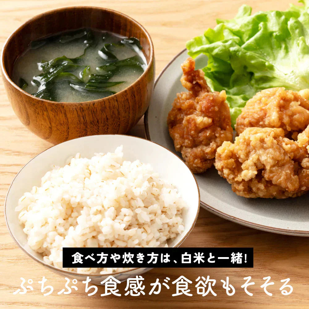雑穀 雑穀米 国産 家計お助け米 押麦ミックス 3kg(1kg×3袋)