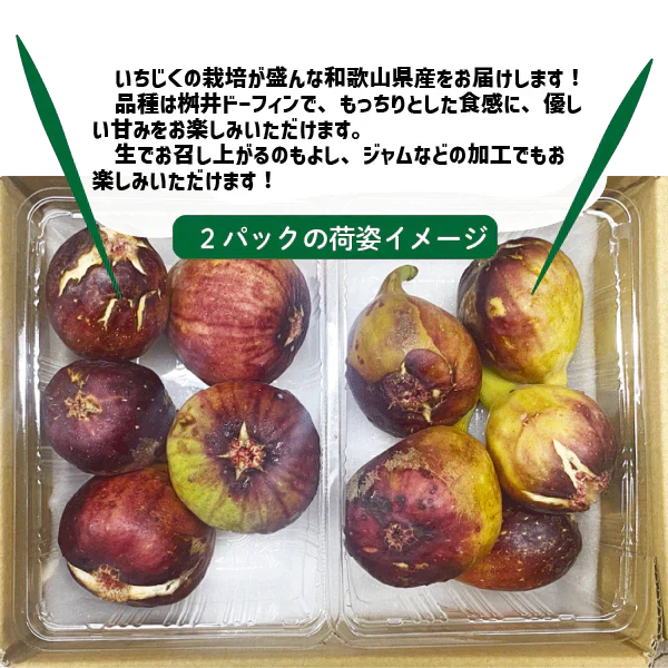 いちじく 訳あり 約600g  (約300g×２パック) 和歌山県産  傷 めくれ イチジク 無花果 紀の川市