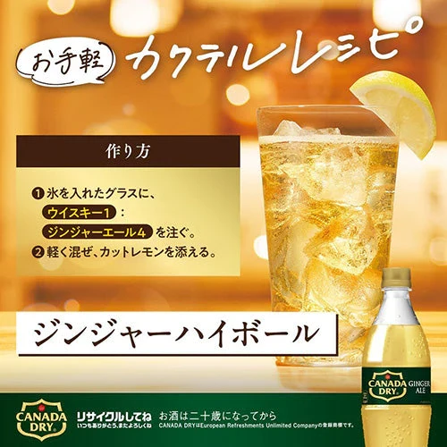 コカ・コーラ カナダドライ ジンジャエール 500ml 24本×2箱（計48本）ジンジャー ケース 500 ペットボトル 割材 まとめ買い 炭酸飲料 コカコーラ 炭酸ジュース