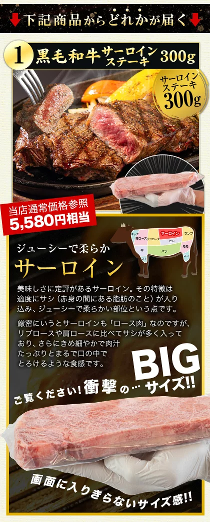 【新商品★お肉ガチャ】＼A4ランク黒毛和牛サーロインが当たるかも！？／ 黒毛和牛 A4ランク サーロイン リブ ハンバーグ クラシタ 肩ローススライス 福袋 《3-7営業日以内に発送予定(土日祝日を除く)》