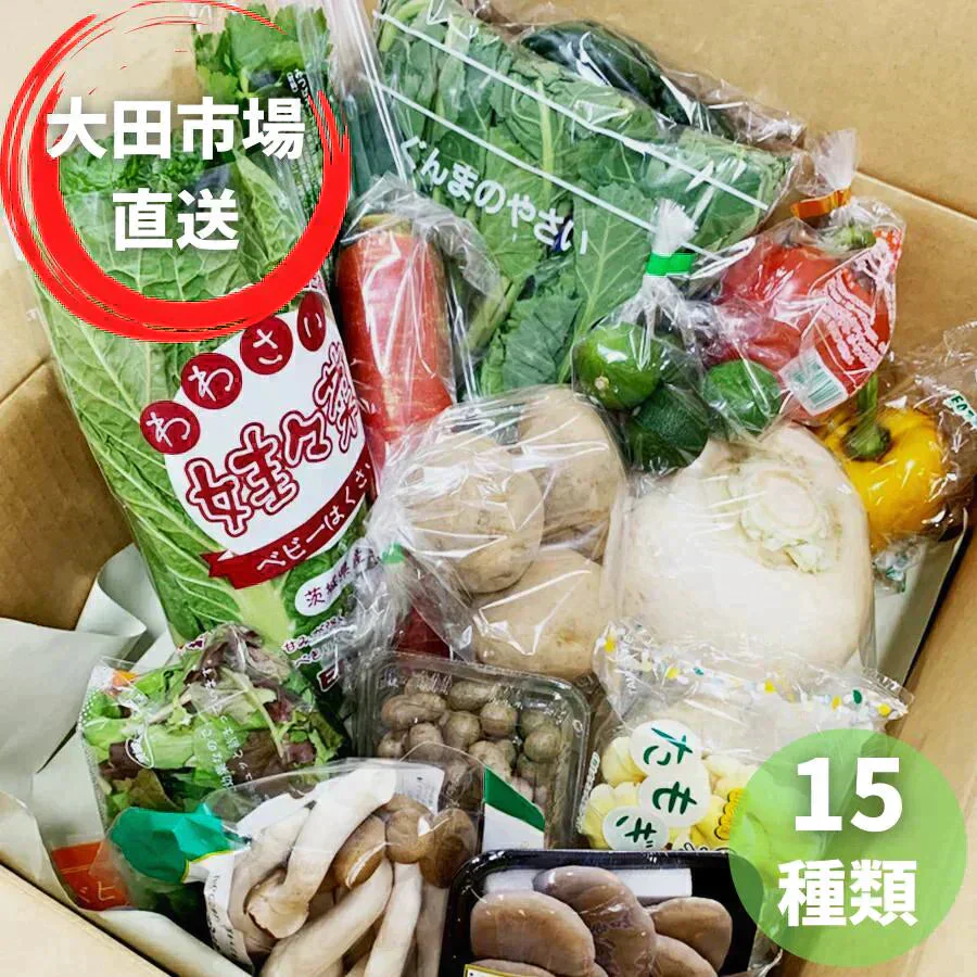 【大田市場直送】全国から仕入れるこだわった野菜セット！おまかせ 15品詰め合わせ！【送料無料】
