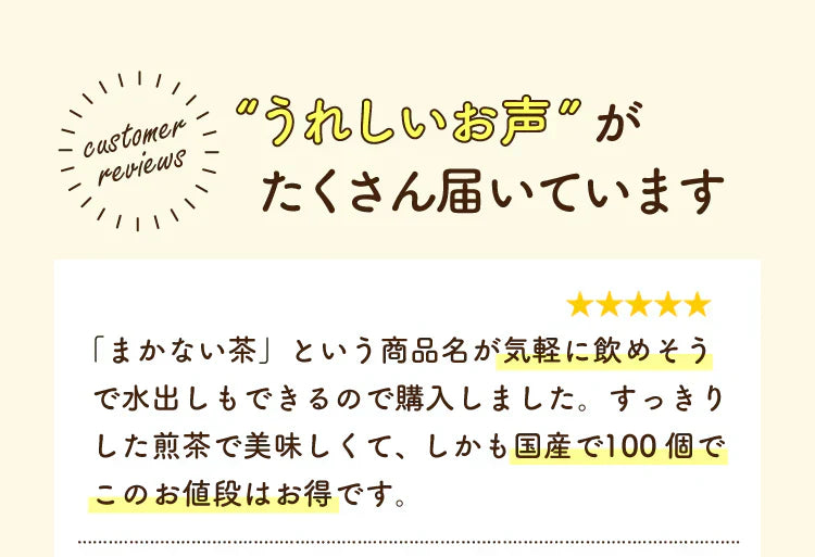 静岡県産緑茶 ティーライフのまかない茶 100個入【ご新規さん限定商品】