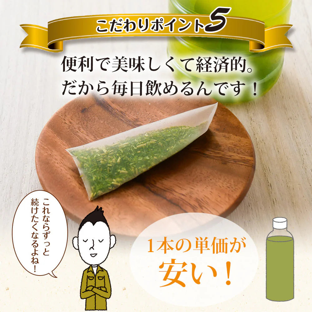 日本橋いなば園 こいうま深蒸し茶ティーバッグ ペットボトル用 3g×20包 ネコポス メール便送料無料 水だし 水出し茶 ギフト おくりもの 贈り物 プレゼント お礼 香典返し お礼 贈答 内祝い 母 手土産 贈物 煎茶 還暦祝い 茶匠庵 結婚祝い 誕生日