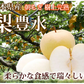 【8月下旬～9月上旬頃より順次出荷】梨 豊水 送料無料 秀品 約3kg 熊本県産 ナシ なし 幸水 秋月 新高